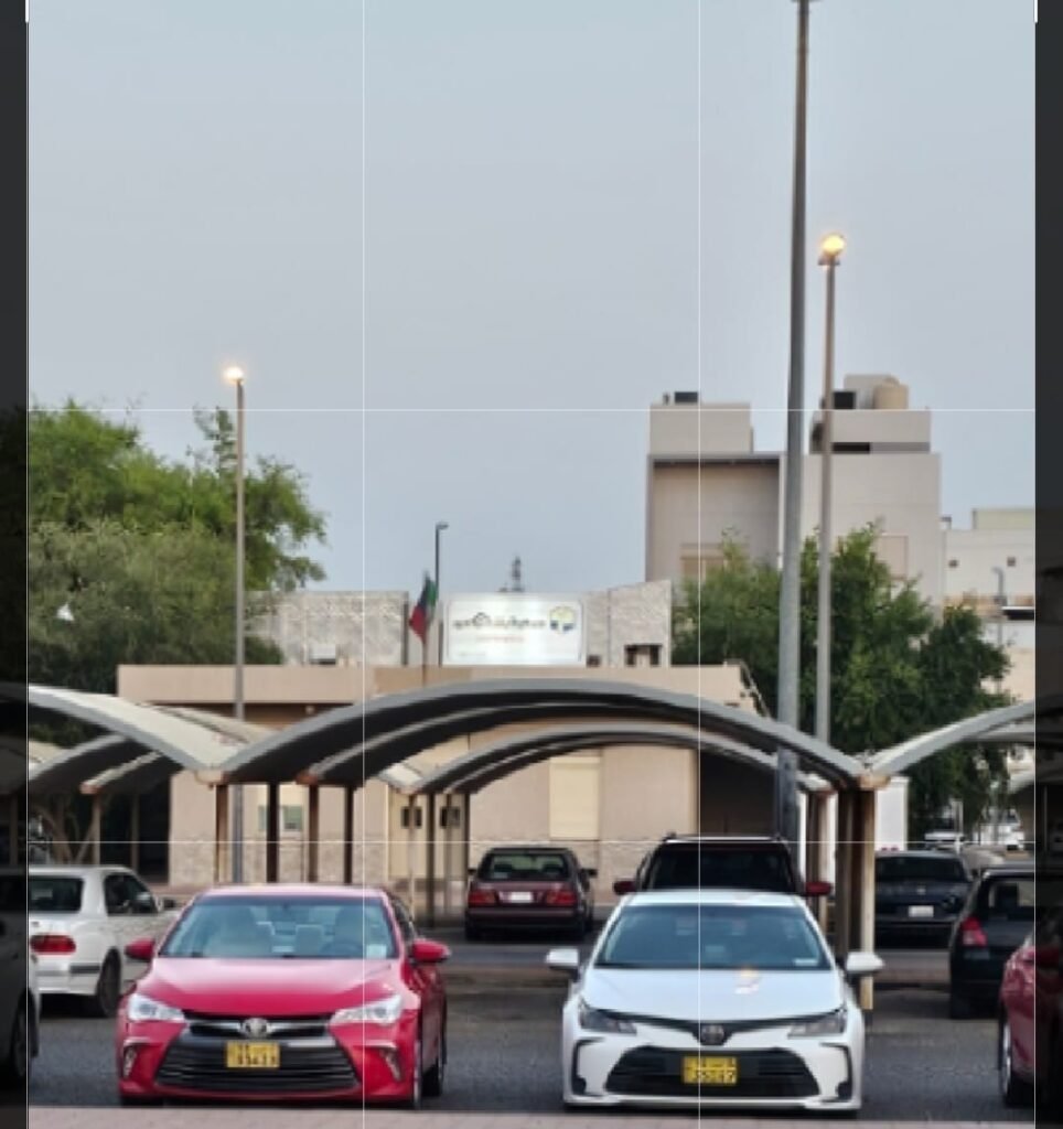 سائق تاكسي سلوى